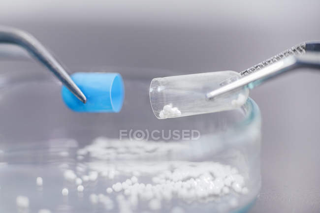 Close-up of pharmaceutical examining filling of medical pill. — Stock Photo