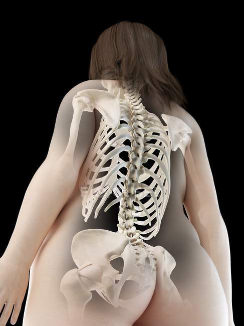 Corpo feminino abstrato com ossos das costas visíveis, ilustração do computador . — Fotografia de Stock