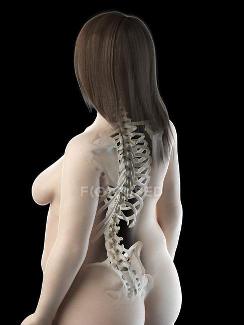 Абстрактное женское тело с видимыми костями спины, компьютерная иллюстрация . — стоковое фото