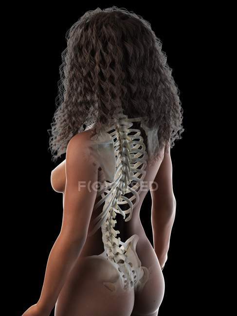 Corpo femminile astratto con ossa dorsali visibili, illustrazione al computer . — Foto stock