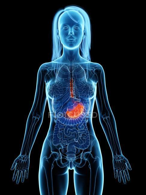 Erkrankter Magen im abstrakten weiblichen Körper, digitale Illustration. — Stockfoto