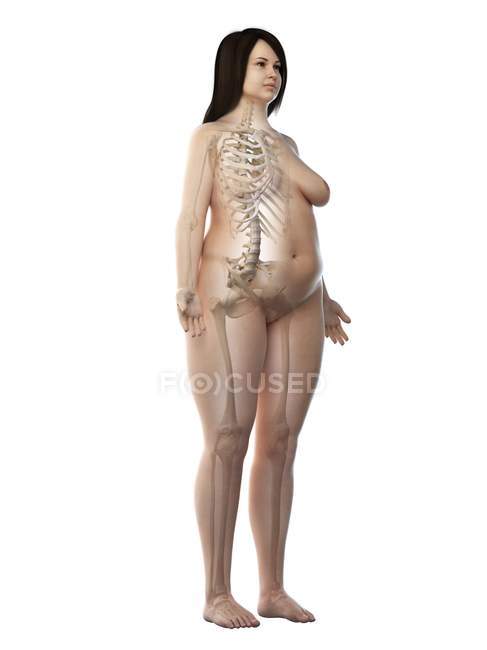 Esqueleto feminino em silhueta corporal transparente sobre fundo branco, ilustração do computador . — Fotografia de Stock