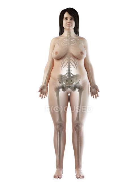 Scheletro visibile nella silhouette del corpo femminile in sovrappeso in vista frontale, illustrazione del computer . — Foto stock