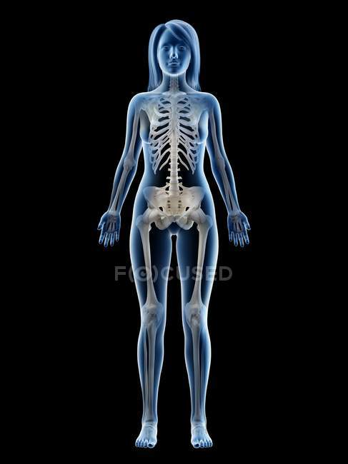 Sichtbares Skelett in weiblicher Körpersilhouette auf schwarzem Hintergrund, Computerillustration. — Stockfoto
