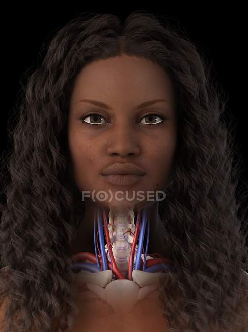 Anatomie des Nackens einer Frau, digitale Illustration. — Stockfoto