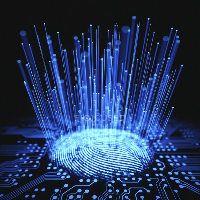 Digital fingerprint, conceptual computer illustration. — Stock Photo