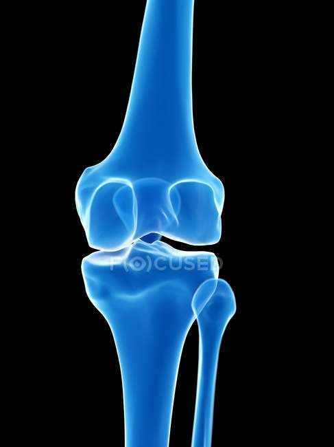 Anatomia umana dell'articolazione del ginocchio, illustrazione al computer . — Foto stock