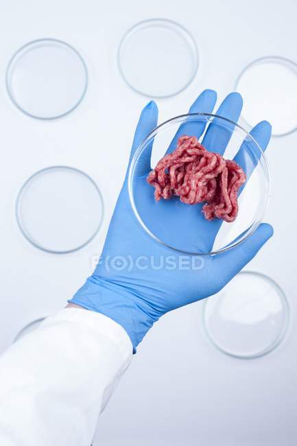 Scientist holding petri dish with artificial meat, conceptual image of cultured meat grown in laboratory. — Stock Photo