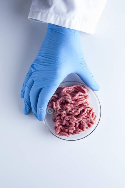 Wissenschaftler hält Petrischale mit künstlichem Fleisch, konzeptionelles Bild von im Labor gezüchtetem Fleisch. — Stockfoto