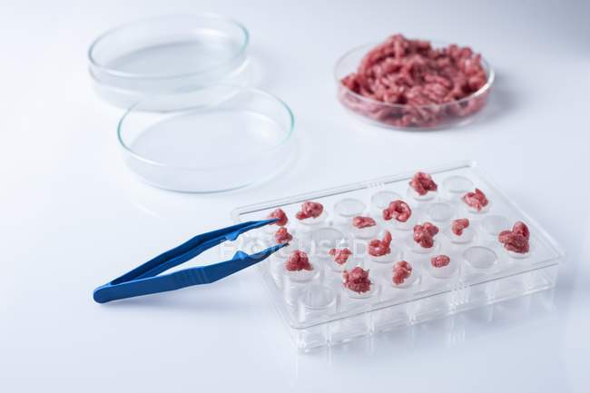 Imagem conceitual da carne cultivada em laboratório para investigação genética . — Fotografia de Stock