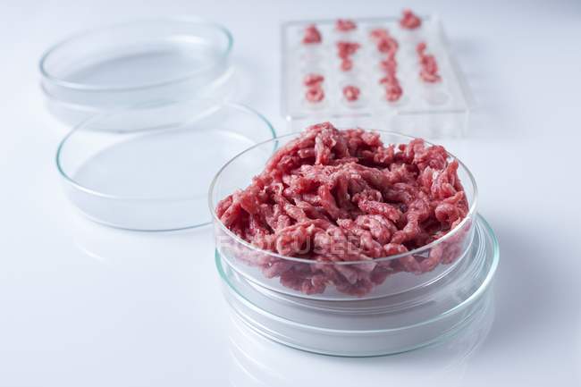Conceptual image of cultured meat grown in laboratory for genetic research. — Stock Photo