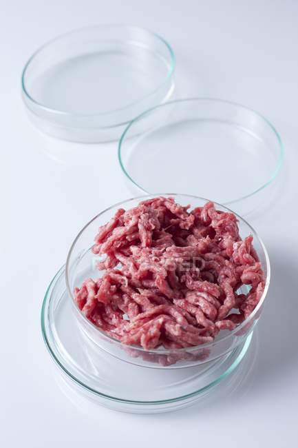 Conceptual image of cultured meat grown in laboratory for genetic research. — Stock Photo