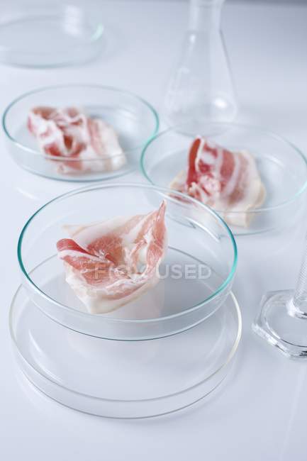 Conceptual image of cultured meat grown in laboratory glassware. — Stock Photo