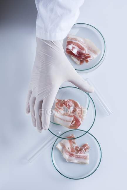 Científico sosteniendo placas petri con carne artificial, imagen conceptual de la carne cultivada cultivada en laboratorio . - foto de stock