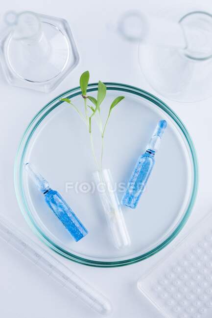 Biotechnologie végétale et recherche — Photo de stock