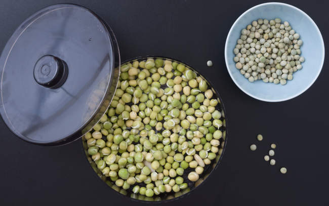Gerät zum Keimen von Samen für Sprossen. — Stockfoto