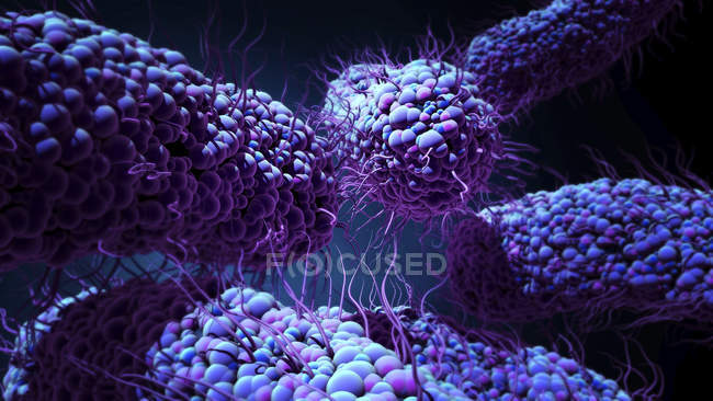 Bactérias abstratas, ilustração digital conceitual
. — Fotografia de Stock