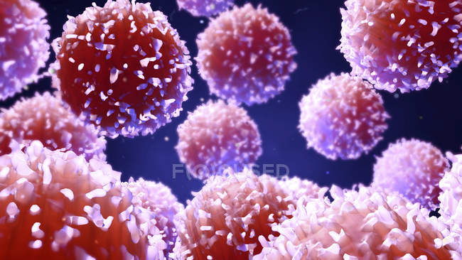 Клітини білої крові, цифрова ілюстрація . — стокове фото