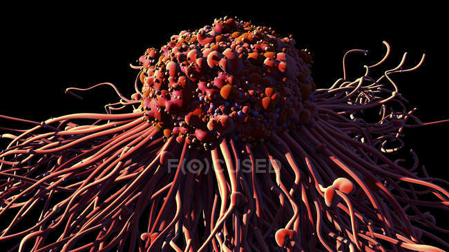 Diseminación de células cancerosas, ilustración digital . - foto de stock
