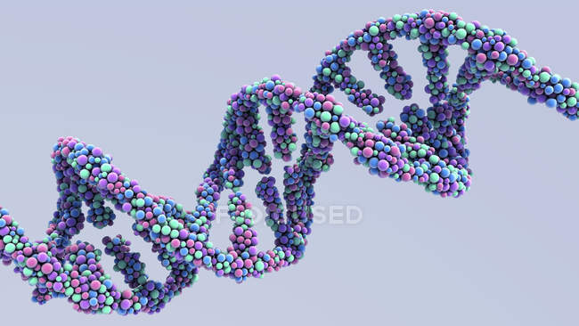Molécule d'ADN sur fond clair, illustration numérique
. — Photo de stock