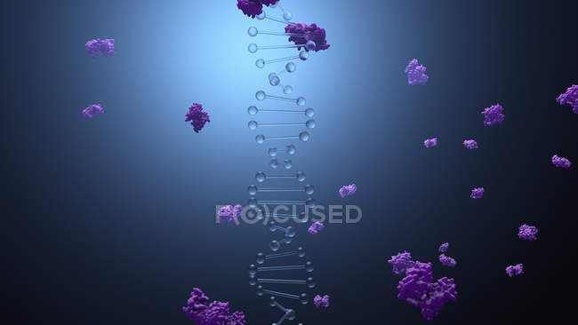 Молекула та ферменти ДНК, цифрова ілюстрація . — стокове фото