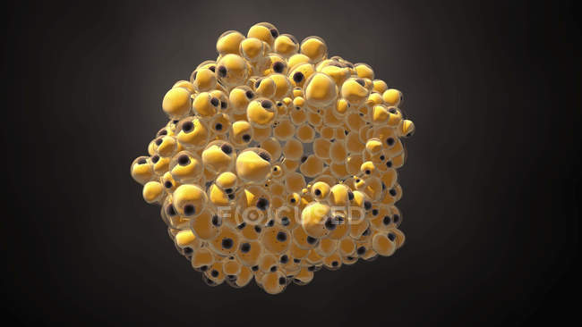 Адіпоцитові жирові клітини, цифрова ілюстрація. — стокове фото