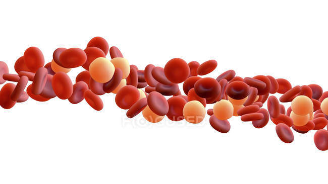 Red blood cells, digital illustration. — Stock Photo