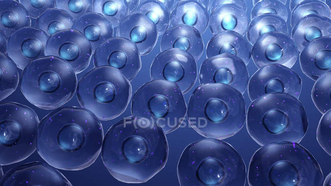 Células animales con mitocondrias, ilustración digital . - foto de stock