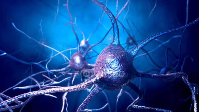 Células nerviosas sobre fondo azul, ilustración digital
. - foto de stock