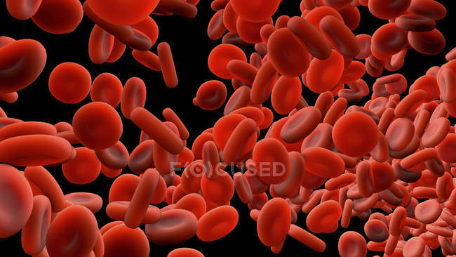 Червоні кров'яні клітини, цифрова ілюстрація. — стокове фото