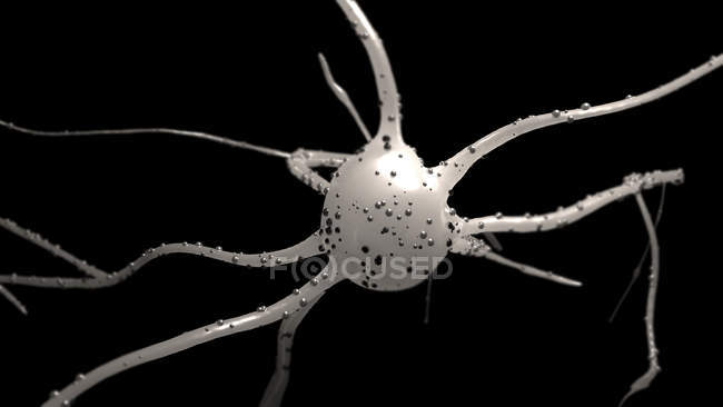 Cellula nervosa su sfondo nero, illustrazione digitale . — Foto stock