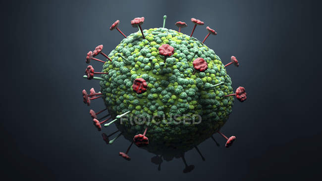 Частка вірусу Ніпа, цифрова ілюстрація. — стокове фото