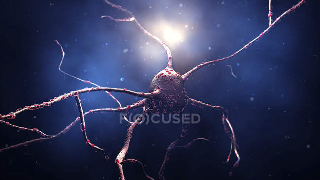 Nerve cell in space, conceptual digital illustration. — Stock Photo