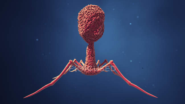 Bacteriófago sobre fundo azul, ilustração digital . — Fotografia de Stock
