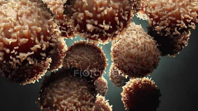 Weiße Blutkörperchen, digitale Illustration. — Stockfoto