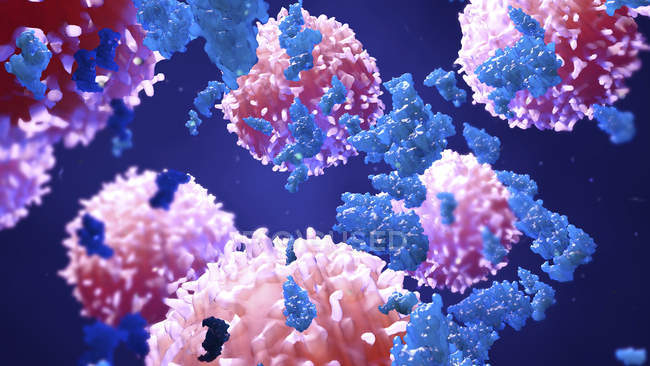 Glóbulos blancos y proteínas, ilustración digital
. - foto de stock
