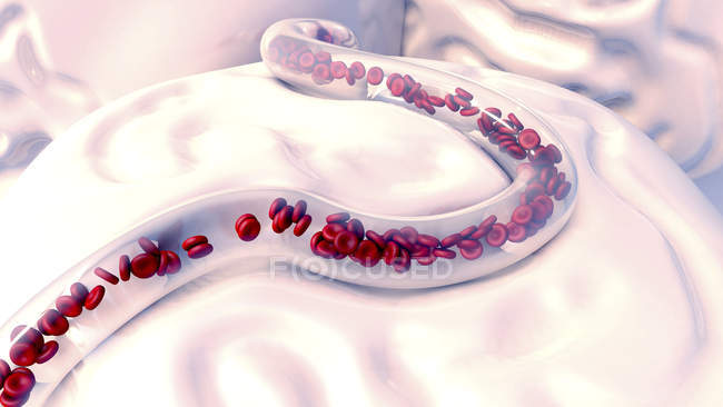 Rote Blutkörperchen in Blutgefäßen, digitale Illustration. — Stockfoto