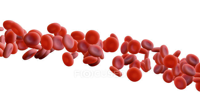 Червоні кров'яні тільця на білому тлі, цифрова ілюстрація . — стокове фото