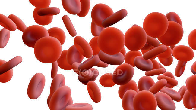 Glóbulos vermelhos sobre fundo branco, ilustração digital
. — Fotografia de Stock