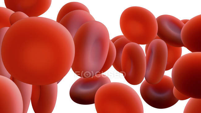Glóbulos rojos sobre fondo blanco, ilustración digital
. - foto de stock