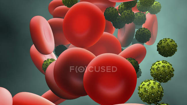 Virus particles in blood stream, digital illustration. — Stock Photo