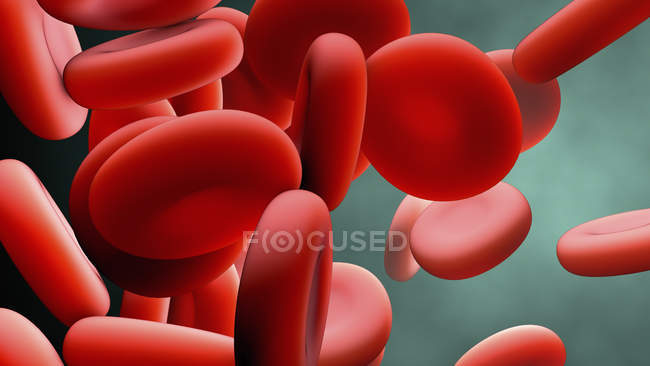 Rote Blutkörperchen, digitale Illustration. — Stockfoto