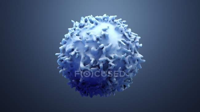White blood cell, digital illustration. — Stock Photo