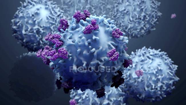 Glóbulos blancos y proteínas, ilustración digital
. - foto de stock