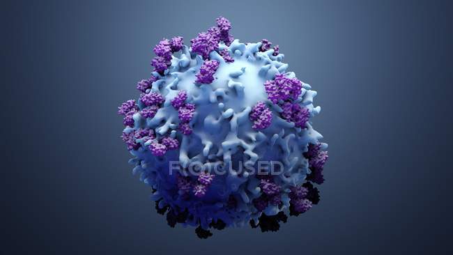 White blood cell and proteins, digital illustration. — Stock Photo