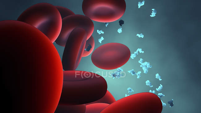 Red blood cells and protein particles, digital illustration. — Stock Photo