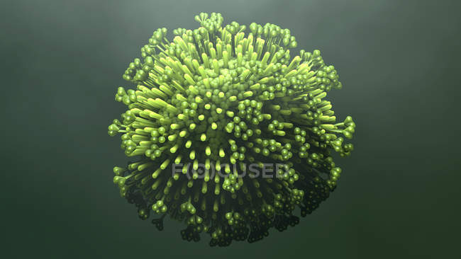 Partícula do vírus da gripe da gripe, ilustração digital . — Fotografia de Stock