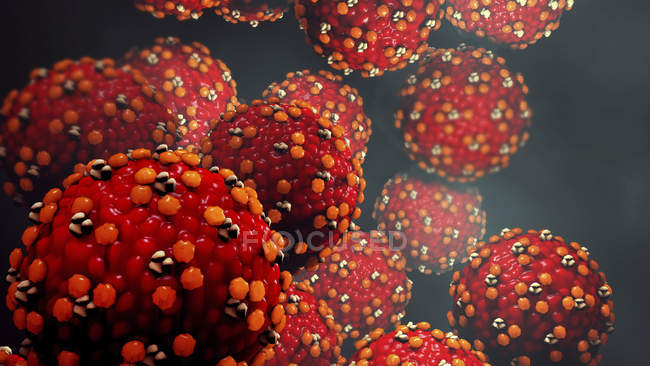 Partículas del virus del sarampión, ilustración digital . - foto de stock
