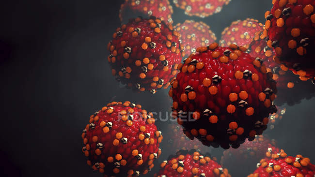 Частинки вірусу кору, цифрова ілюстрація . — стокове фото