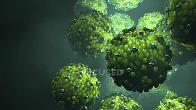 Partículas de vírus do sarampo, ilustração digital
. — Fotografia de Stock